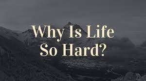 Some Hidden Reasons Why Life Is So Hard For You The Black Sheep