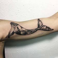 Kol Dovmesi Panosundaki Pin