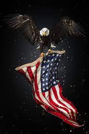 Maybe you would like to learn more about one of these? Bald Eagle Flying With American Flag North American Bald Eagle Flying With Amer Sponsored F American Flag Eagle American Flag Art American Flag Wallpaper