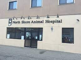 My pup has serious anxiety and they know all the right things to do north shore animal hospital has been a vibrant part of lynn for over 33 years. North Shore Animal Hospital 42 02 215th Street Bayside Reviews And Appointments Topvet