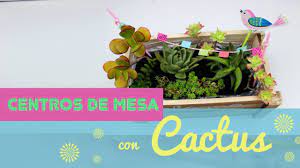 5,365 likes · 62 talking about this · 40 were here. Centros De Mesa Con Cactus Y Suculentas Curso De Centros De Mesa 4 Youtube