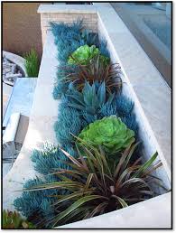Designing With Succulents Roger S Gardens Succulent Landscape Design Succulent Landscaping Tropical Pool Landscaping