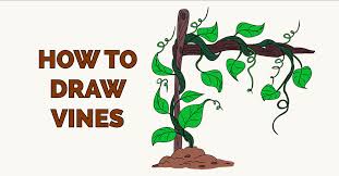 How to draw a thorned heart step by step drawing guide by. How To Draw Vines Really Easy Drawing Tutorial