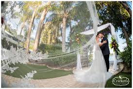 Flowers by lesley taylor paperback $24.95. Tropical Starfish Destination Wedding At Paradise Cove Orlando