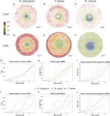 Tips and techniques for continuous cell lines. Fungal Feature Tracker Fft A Tool For Quantitatively Characterizing The Morphology And Growth Of Filamentous Fungi