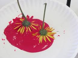 Round and around testing the color ice and how it makes markings. Primary School Art Lesson Plans Kindergarten To Grade 2 5 8 Years