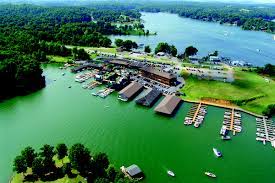3) alpacas of smith mountain lake farm. What To Do And See During A Vacation To Smith Mountain Lake