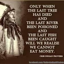 Native americans, also known as american indians, indigenous americans and other terms, are the indigenous peoples of the united states, except hawaii and territories of the united states. Funny American Indian Quotes Quotesgram