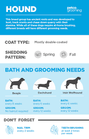 Avoid getting any shampoos or detergents in these areas, especially the eyes. How Often Do I Wash My Dog Advice For Pet Parents Petco