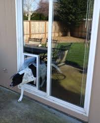 Had our door glass replacement near me, wayne from glass guru was very accomodating & fast door glass replacement. Dog Door For Slider French Door With Dog Door Sliding Glass Dog Door The Glass Guru