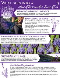 At mckinley lavender farm in kelowna, british columbia, we we also grow many other complimentary flowers and herbs around our farm. Dried Lavender Bundles Bundles Of Value Sage Creations Organic Farm