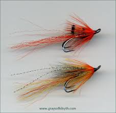 These flies are often all over in rivers where salmon spawn. Salmon Flies