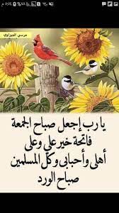 صباح الخير القدس جمعة مباركة rooster animals
