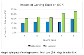 use dhi milk samples to manage subclinical ketosis