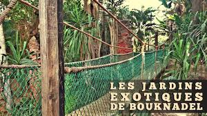 The Exotic Gardens Of Bouknadel Morocco Les Jardins Exotiques Youtube