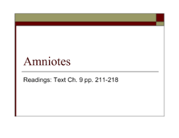The amniote egg shell is very hard. Amniote Egg Coloring