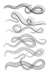 One of the great features is that you can create your own brushes using custom shapes and/or textures. Tattoo Elements Update 5 28 18