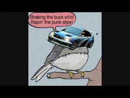 It will be published if it complies with the content rules and our moderators approve it. Dead Meme Annoyed Bird Need For Speed Youtube