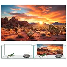 Image result for Terrarium Cling Background