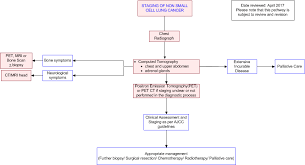 Non Small Cell Lung Cancer Staging