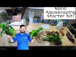 Tirkashi boyayyan videon mata da maza suna iskanci acikin daki part 1. Download Build A Nano Aquascape Starting Guide For Beginners Mp4 3gp Hd Naijagreenmovies Netnaija Fzmovies