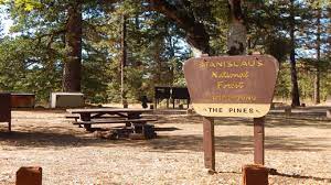 Recreation opportunities are numerous with camping, boating, fishing, hunting. Stanislaus National Forest Pines Campground
