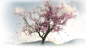 Wallpaper pemandangan bunga sakura via blogger bit ly 2fd4 flickr. Hd Wallpaper Cherry Blossom Tree Illustration Flowers Spring Sakura Nature Wallpaper Flare