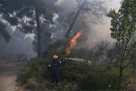 Εκκενώθηκαν οικισμοί, ενισχύθηκαν οι δυνάμεις. Cvloqi9tvipmam