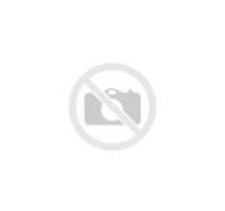 Купить GM 24420103 - Подвеска, рычаг независимой подвески ...