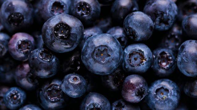 Scientists Uncover How Blueberries Appear Blue | Technology Networks