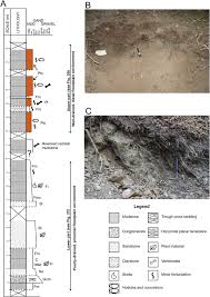 Mémoires du général hugo, gouvern. X Marks The Spot Sedimentological Geochemical And Palaeontological Investigations Of Upper Cretaceous Maastrichtian Vertebrate Fossil Localities From The VÄƒlioara Valley Densus Ciula Formation HaÈ›eg Basin Romania Sciencedirect