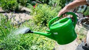 Wenn sie ihrem rasen gartenpflanzen hinzufügen möchten, vorschlagen wir ihnen, sich ein paar leicht verständliche bücher. Richtig Giessen So Bleibt Der Garten Auch Bei Ausbleibendem Regen Grun Service