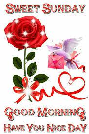 On sunday it is important to escape from everyday life. Ykuibsyjyq0mam