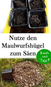 Saen Mit Erde Aus Dem Maulwurfshugel Haus Und Beet Gemuse Anbauen Selbstversorger Garten Gemusegarten Anlegen