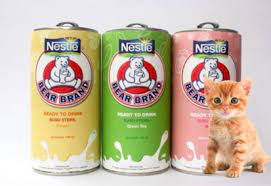 Kocok sampai anda melihat kolostrum telah larut. 3 Susu Manusia Yang Cocok Untuk Anak Kucing