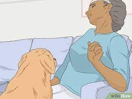 We did not find results for: How To Train A Dog To Detect Seizures Wikihow