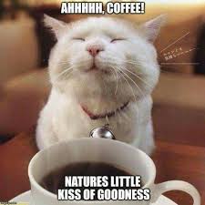 Ahhh Coffee Cat Good Morning Good Morning Quotes Coffee Morning Quotes Blessings For A Good Morning Coffee Coffee Humor Coffee Meme Coffee Quotes