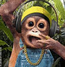 Apes Chimps Gorillas Monkey And Primate Gif Animations Monkeys Funny Monkey Pictures Monkey Animation