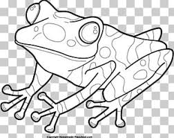 The kids can enjoy toad coloring pages, math worksheets, alphabet worksheets, coloring worksheets and drawing worksheets. Frog And Toad Coloring Book Red Eyed Tree Frog Png Clipart Adult Animals Area Art Black Free Png Download