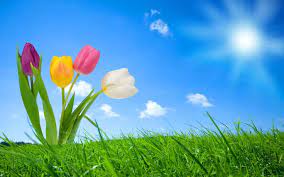 Egyfrenzo Cover Directions Spring Nature Spring Wallpaper Nature Wallpaper