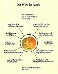 Bund Lemgo Homepage