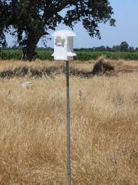 Pole Kit For Bluebird House Barn Owl Box Company