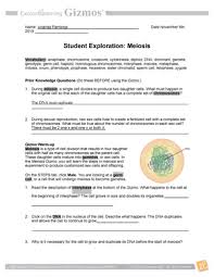 Browsing for additional strategies to get free of charge website visitors? Meiosis Gizmo Pdf Bio Studocu