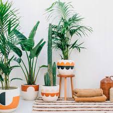 Decoración con plantas suculentas ✳ decora habitaciones, mesas y balcones con plantas suculentas y de fácil cuidado ¡te mostramos cómo! Inspiraciones Para Decorar Con Plantas De Interior