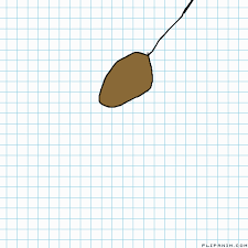 Tap to play or pause gif. A Potato Flew Around My Room Flipanim