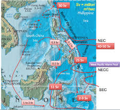 Air Asia Indonesia Lost Contact From Surabaya To Singapore