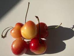 Rainier cherries in my city are $5+ a pound. Rainier Cherry Wikipedia