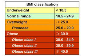 obesity general considerations the scrutinizer