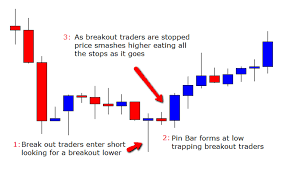 Reading Price Action Bar By Bar Pdf Creepingthyme Info
