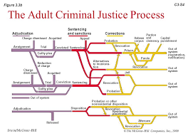 Overview Of The Criminal Justice System